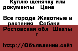 Куплю щенячку или документы › Цена ­ 3 000 - Все города Животные и растения » Собаки   . Ростовская обл.,Шахты г.